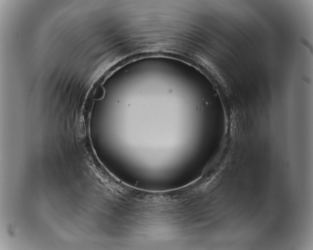 X0000101710876200807101602