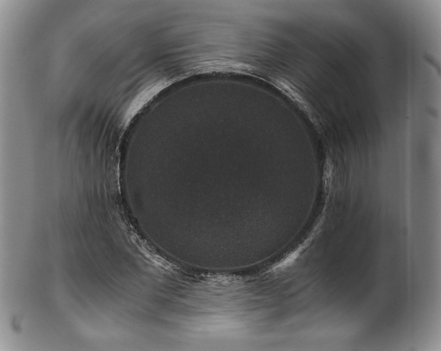 X0000101710877200807101602