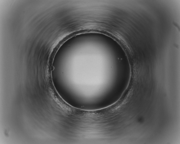 X0000101710880200807101602