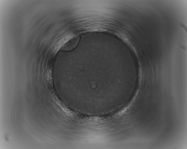 X0000101710881200807101602