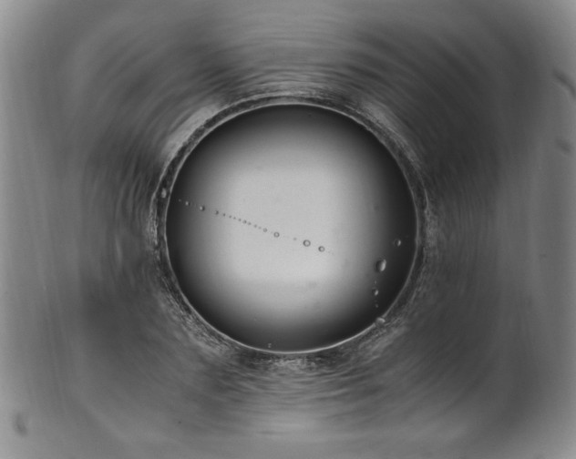 X0000101710883200807101602