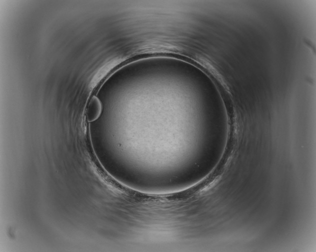 X0000101710885200807101602
