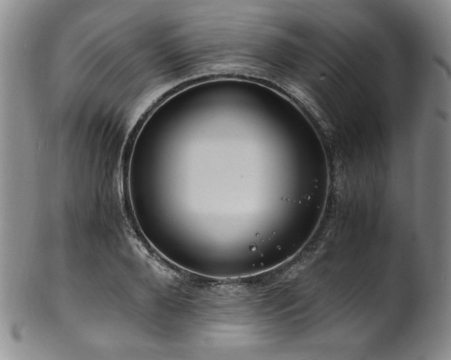 X0000101710888200807101602