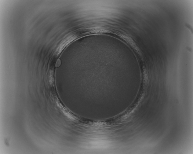 X0000101710889200807101602