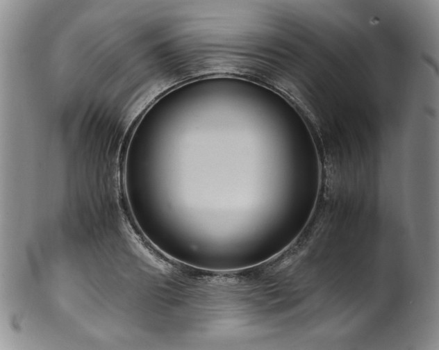 X0000101710890200807101602