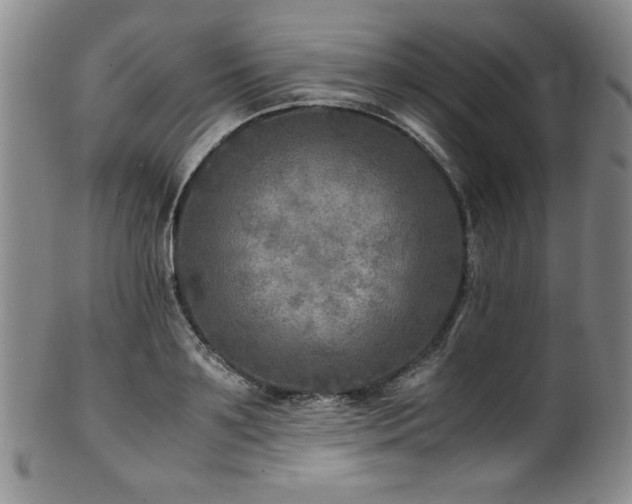 X0000101710891200807101602