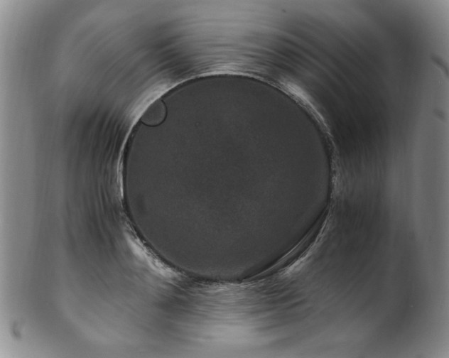 X0000101710892200807101602