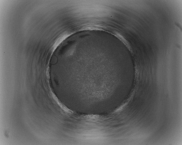 X0000101710893200807101602