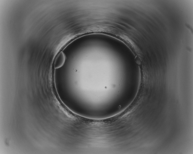 X0000101710894200807101602