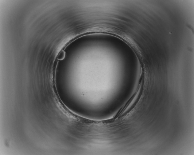 X0000101710896200807101602