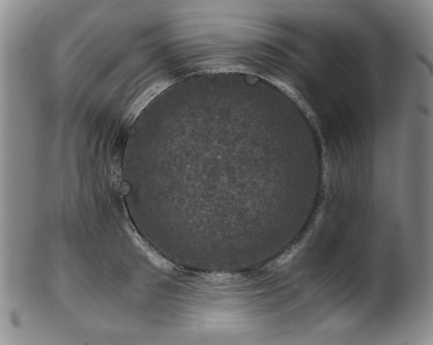 X0000101710897200807101602