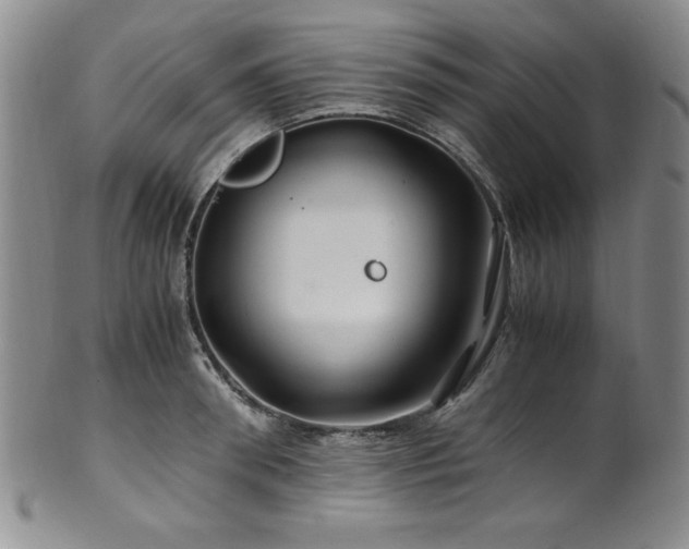 X0000101710898200807101602