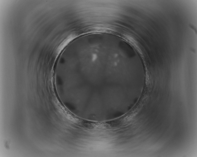 X0000101710899200807101602