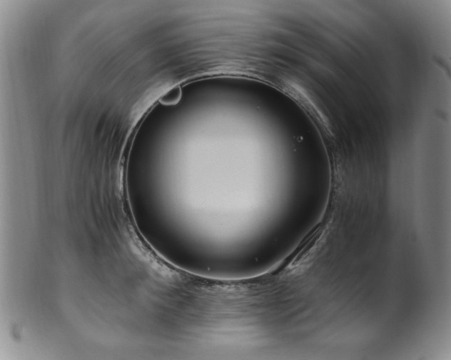 X0000101710900200807101602
