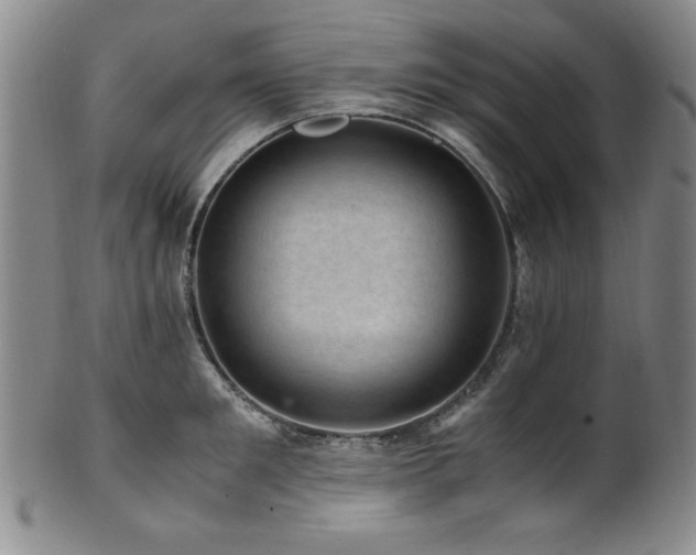 X0000101710901200807101602