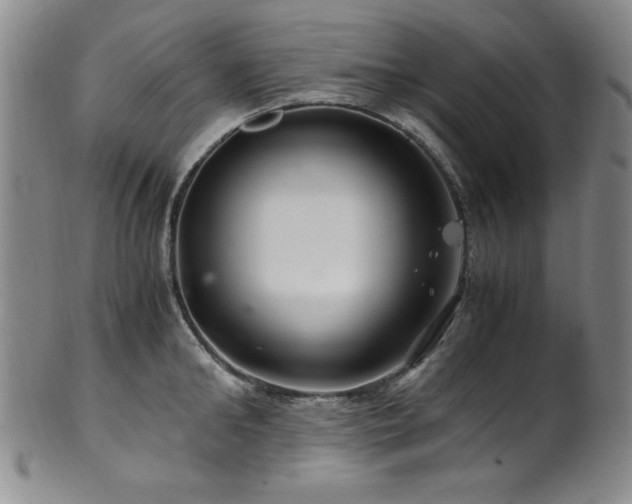 X0000101710902200807101602