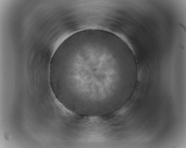X0000101710903200807101602