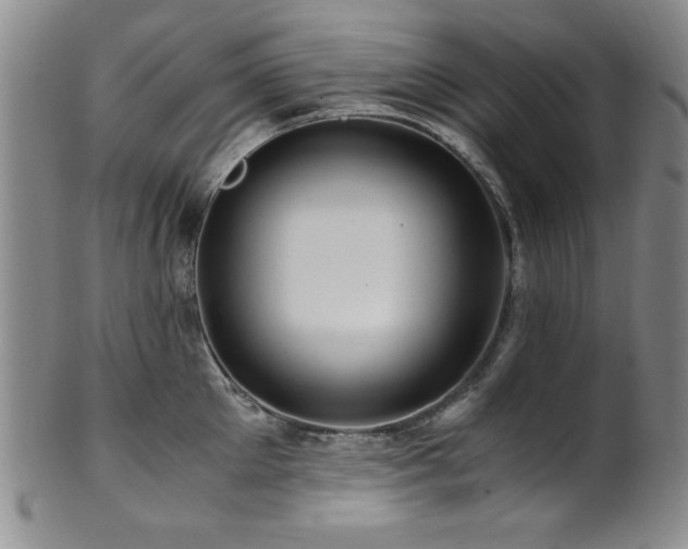 X0000101710905200807101602