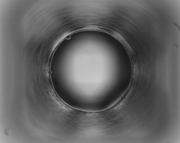 X0000101710908200807101602