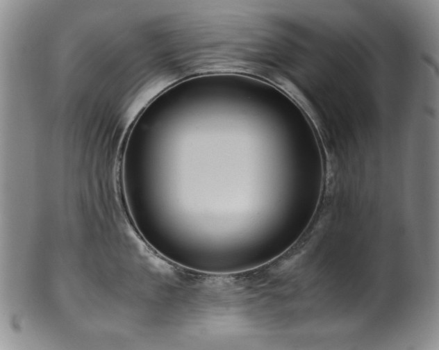 X0000101710909200807101602