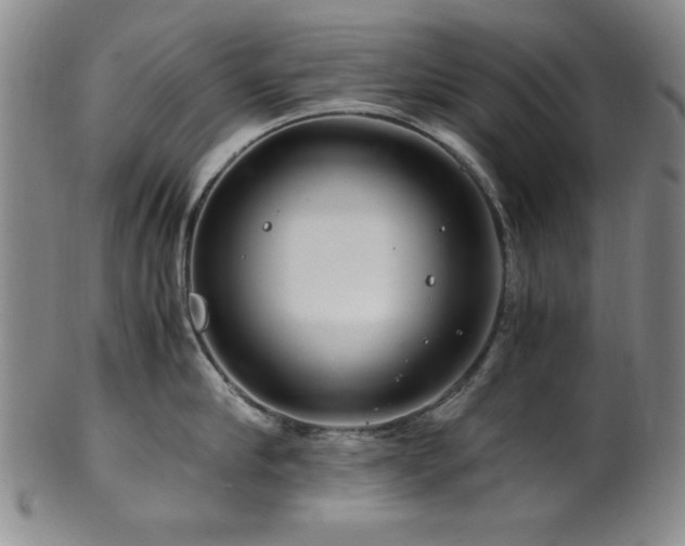 X0000101710910200807101602