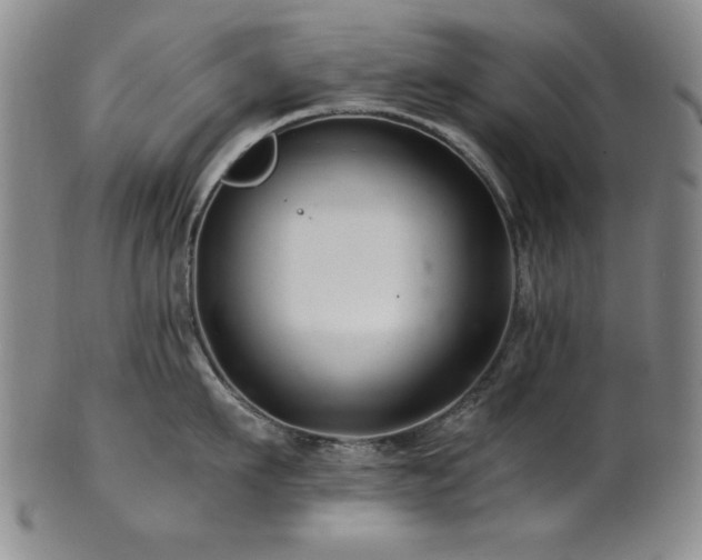 X0000101710911200807101602