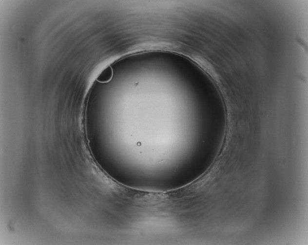 X0000101710912200807101602