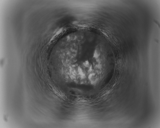 X0000101710913200807101601