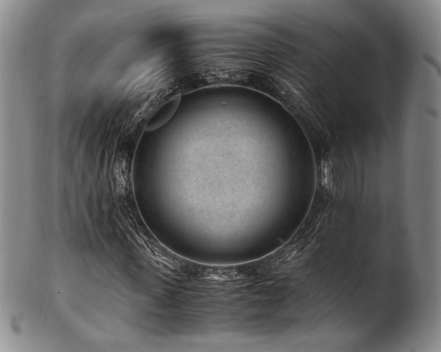 X0000101710915200807101601