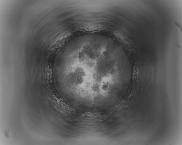 X0000101710917200807101601