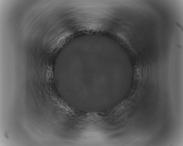 X0000101710918200807101601