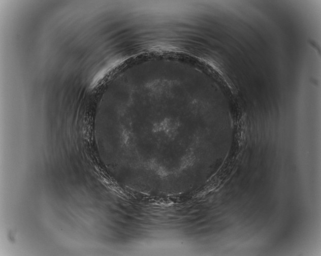 X0000101710919200807101601
