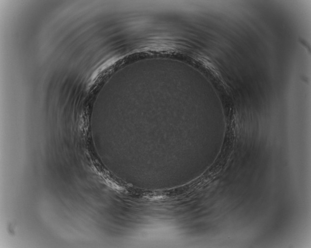 X0000101710920200807101601