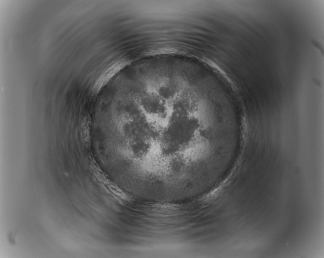 X0000101710921200807101601