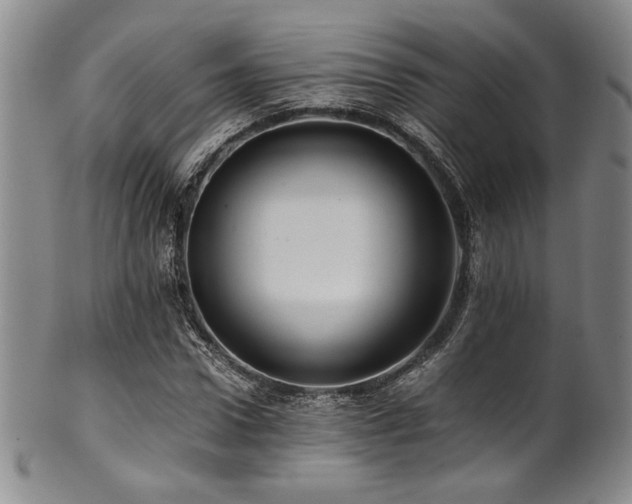 X0000101710922200807101601