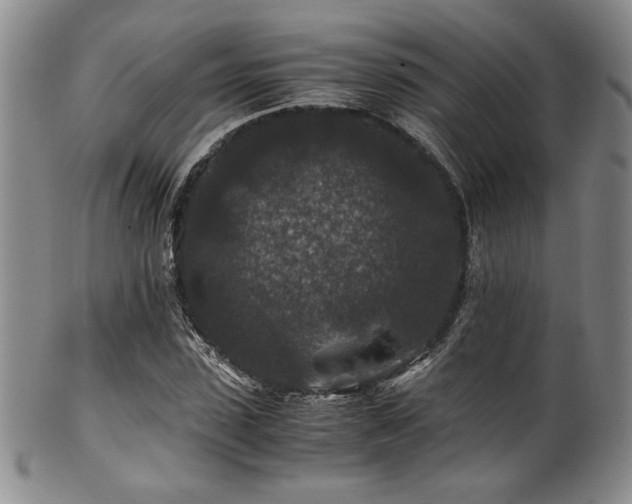 X0000101710923200807101601