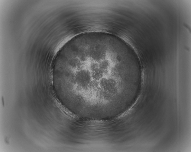X0000101710925200807101601