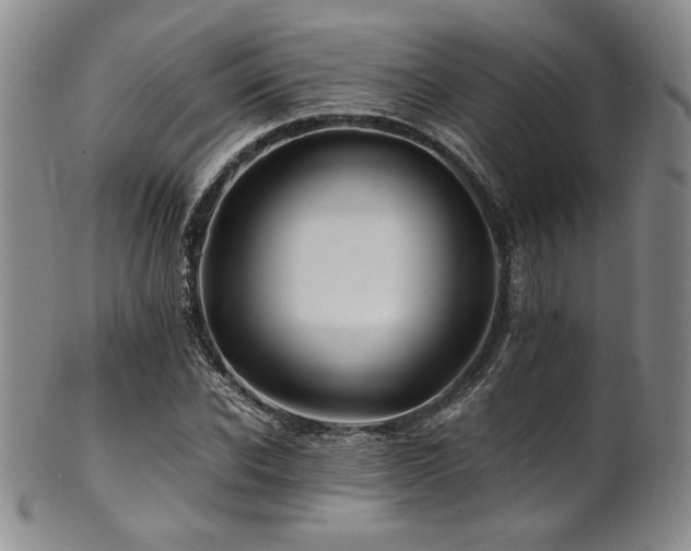 X0000101710926200807101601