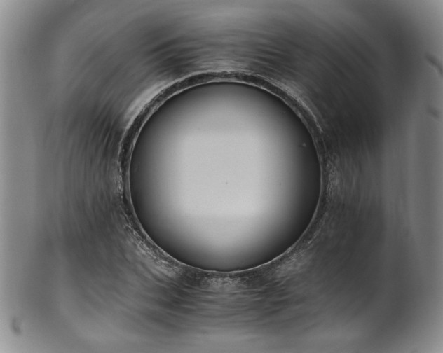 X0000101710927200807101601