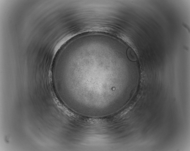 X0000101710928200807101601