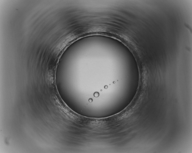 X0000101710929200807101601