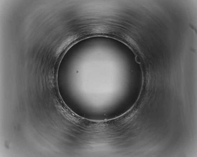 X0000101710930200807101601