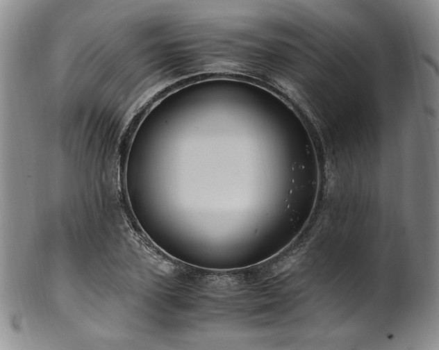 X0000101710931200807101601