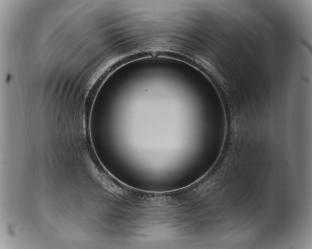 X0000101710934200807101601