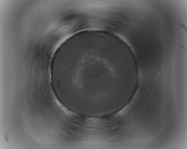 X0000101710935200807101601