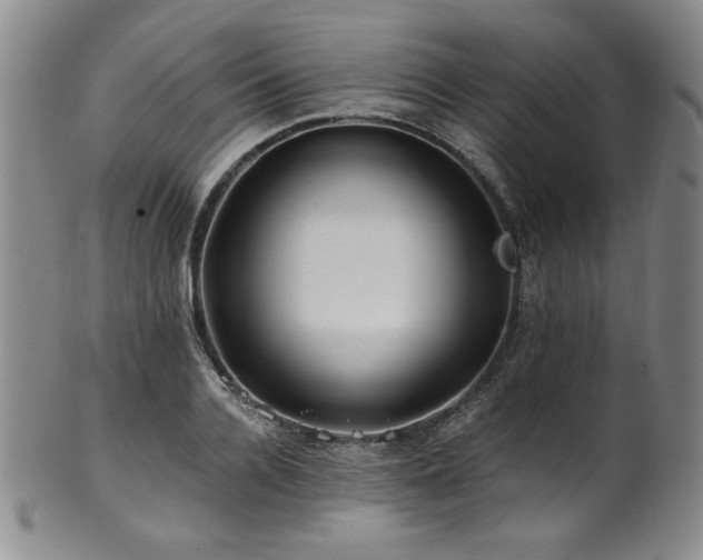 X0000101710936200807101601