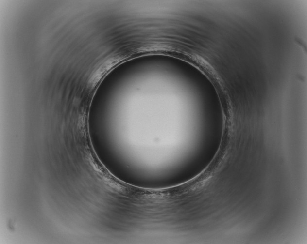 X0000101710937200807101601