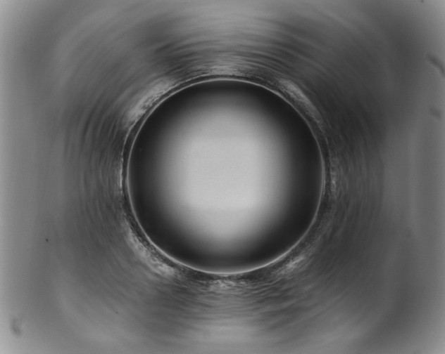 X0000101710938200807101601