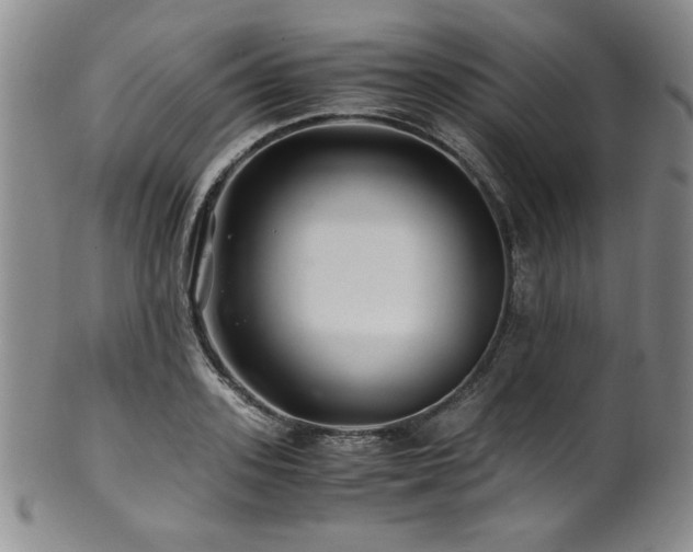 X0000101710939200807101601