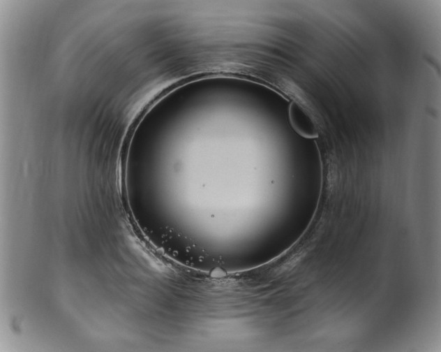 X0000101710940200807101601